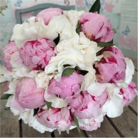 fwthumbpinks2-600x400.jpg